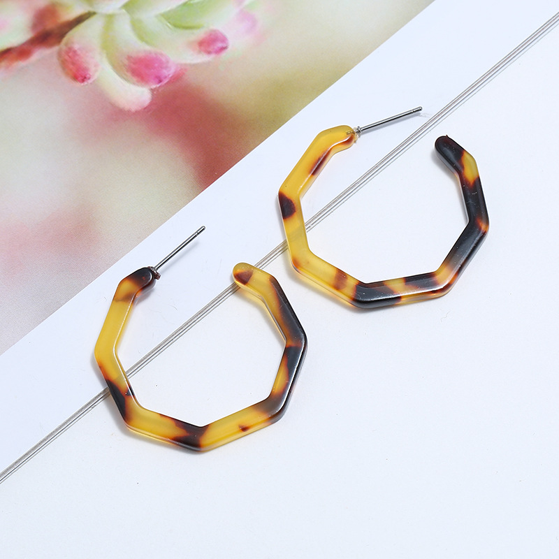 Exaggerated Acetate Plate Creative Geometric Leopard Print Earrings display picture 4