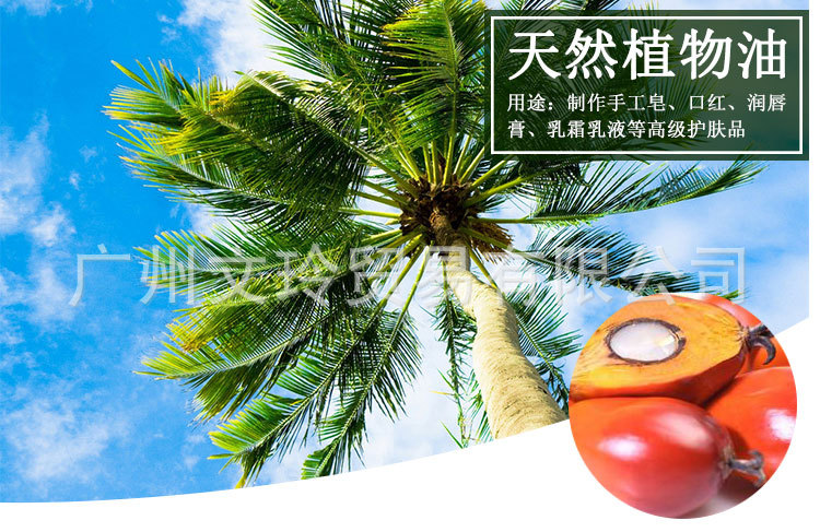 棕榈核油_01.jpg