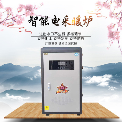 厂家批发采暖炉 家用电采暖炉 水暖电锅炉 取暖器 立式电暖炉定制|ms