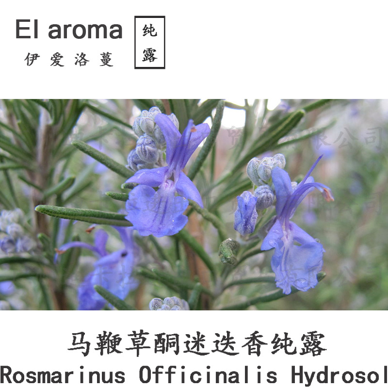 摩洛哥进口有机马鞭草酮迷迭香纯露 Rosemary C植物花水 1KG起订