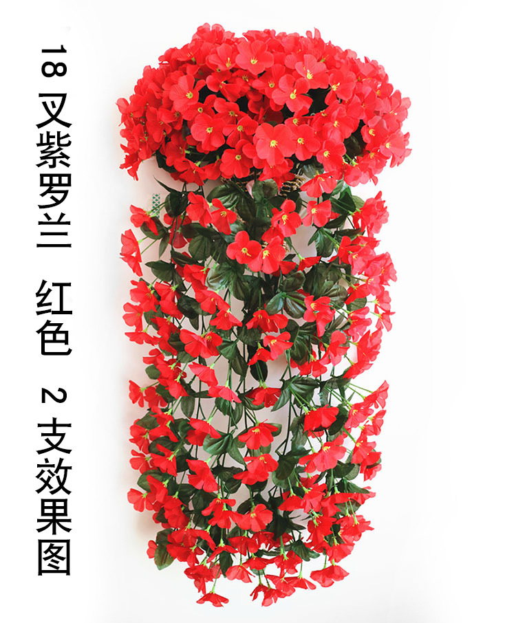 18叉紫罗兰 红色