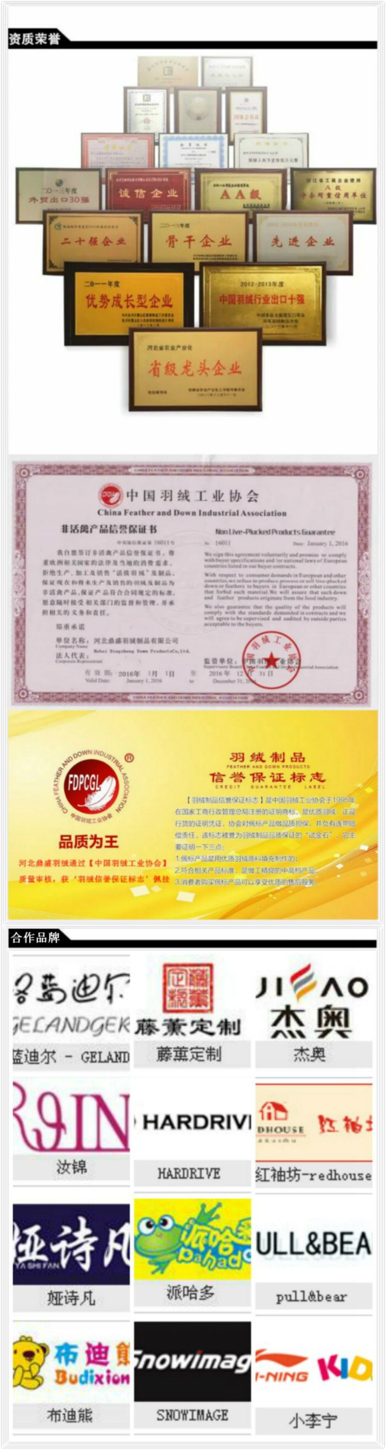 4670377537_980119599