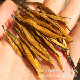 2025����� ����P�c�t�� ���ѿ� �Ř��� ��ϵ�tɢ�����l