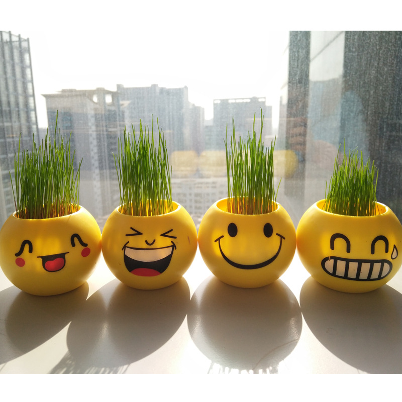 办公室迷你植物盆栽 青草种植炫酷表情栽培长草头娃娃DIY种植礼品