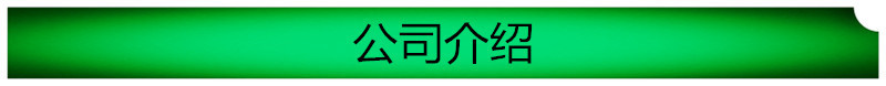 公司介绍