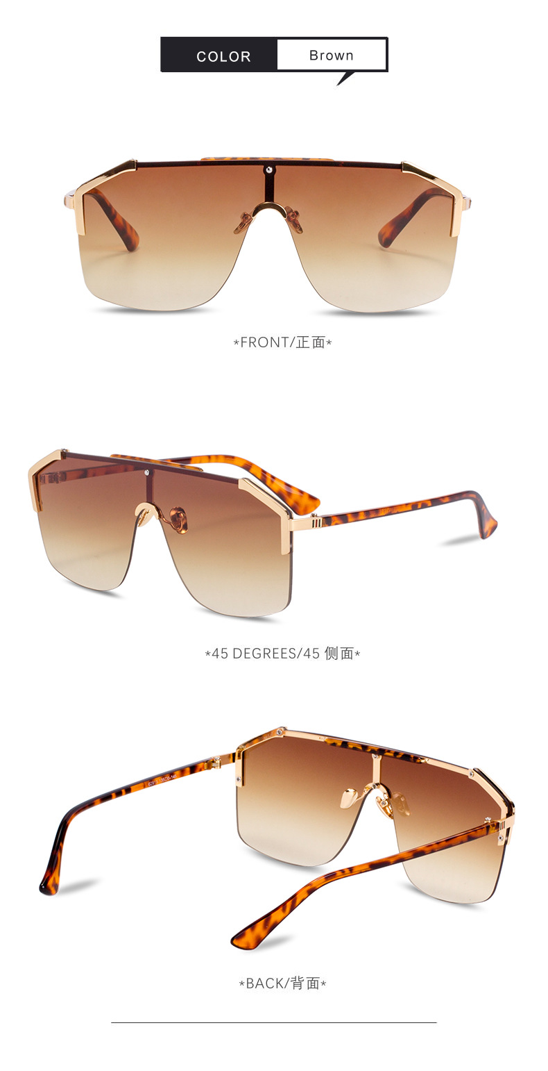 Large Frame New Fashion Style Sunglasses display picture 5