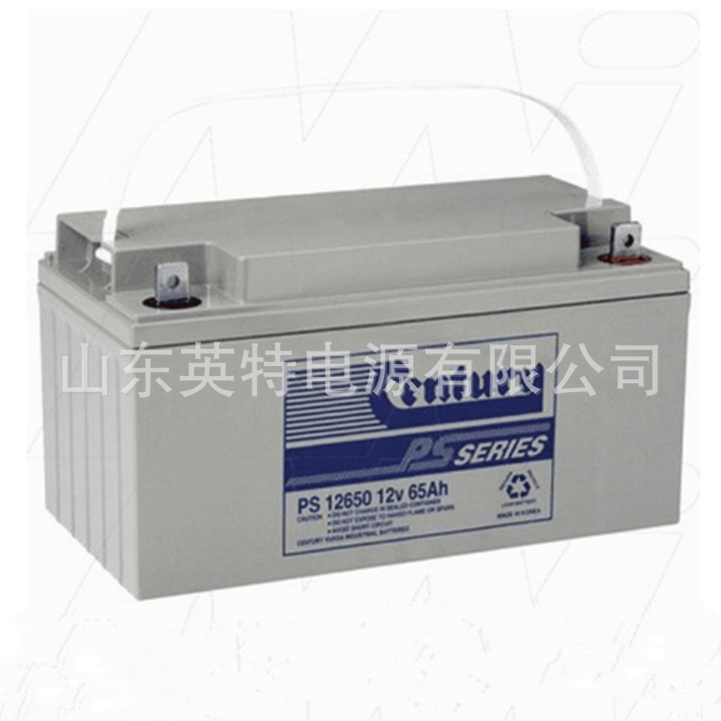 CENTURY蓄电池12V6H PS12650 铅酸蓄电池 联保三年