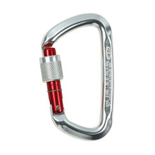 �����CT D-shape SG (screw gate��2C47600 XSA D��˿��������ɽ