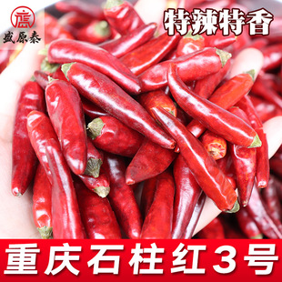 ���������l �F؛ɢ�b500għ�������������ؑc�������� ������