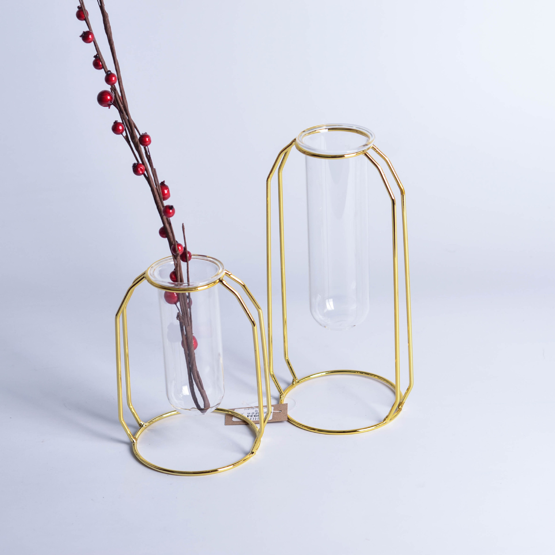 INS Minimalist Luxury Glass Hydroponic Metal Vase