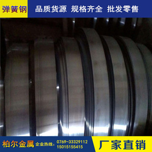 ������̼����䓎� 1095���ˏ���䓰� �ߏ���AISI1095����䓾�