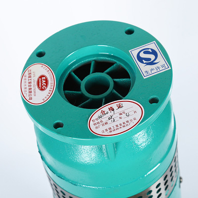 QSP100-9-4耐腐蚀喷泉专用泵电动铸铁水泵充水式潜水泵批发|ms