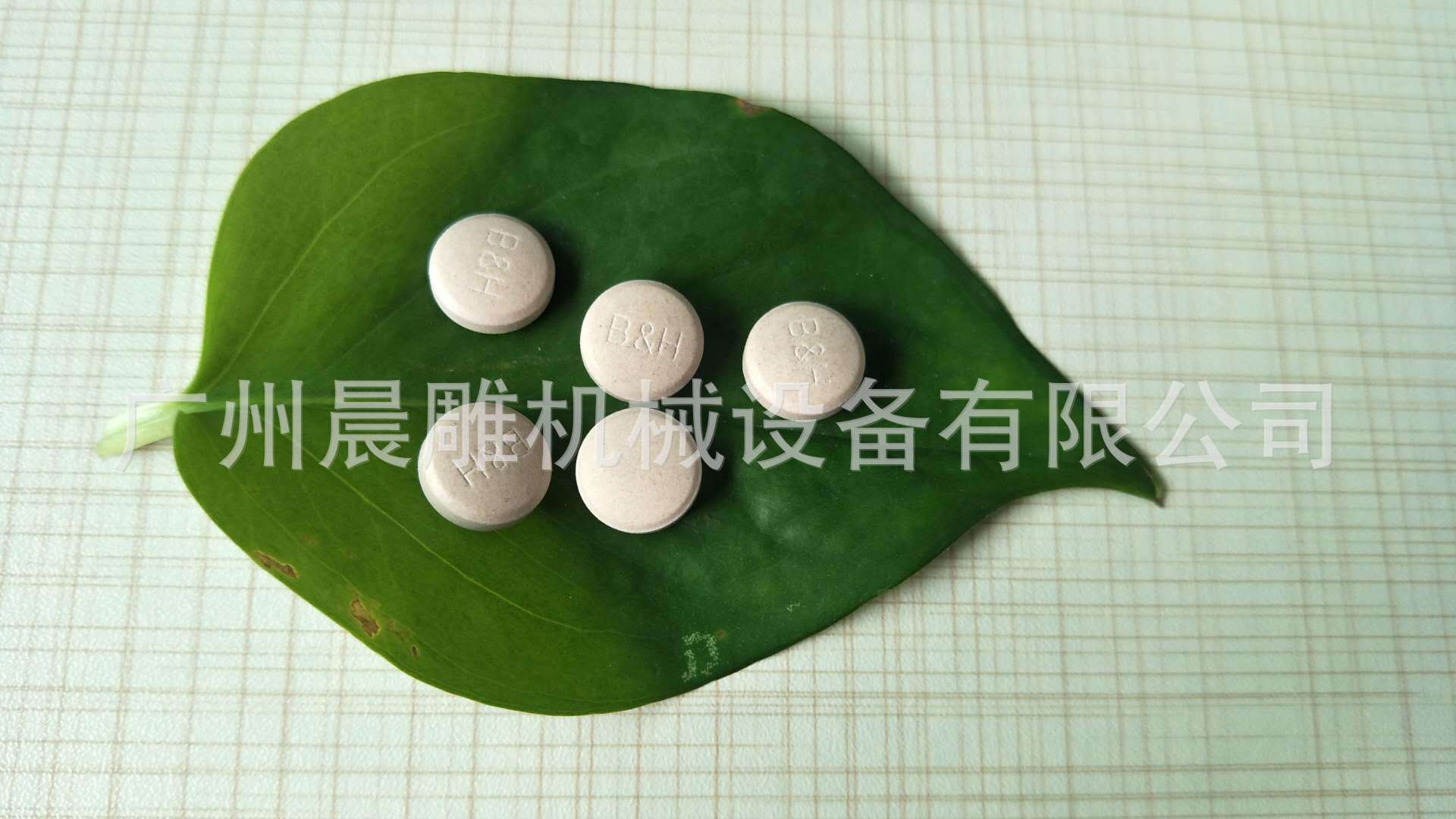 樣品2
