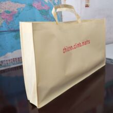 ���a�o����������̈���������m�V�������p�x��xpe���Љ|��ӆ��