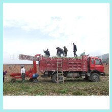 厲ݙC 厲ݙCS ɽ՗U厲ݙC