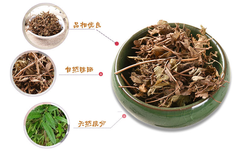 Hai Jin Sha Teng (Lygodium japonicum) — Dried Climbing Fern Herb, Unsulfured New Crop key features