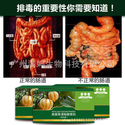 藤黄果粉 10:1 藤黄果提取物 SC厂家 大量现货 罗望果提取物|ru