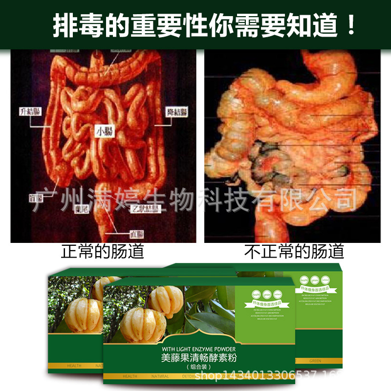 藤黄果粉 10:1 藤黄果提取物 SC厂家 大量现货 罗望果提取物|ru