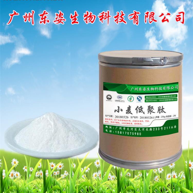 供应食品级 小麦低聚肽 营养强化剂 小麦蛋白肽 小麦提取物小麦肽