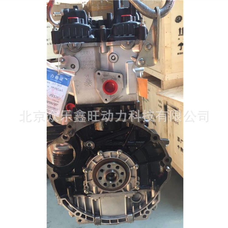 新金刚-6_副本