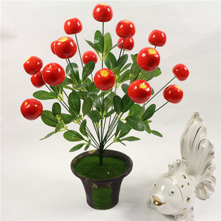 ����ֲ������ˮ���辰�͏d�[�žGֲ���b�O�������������lϲ�c����