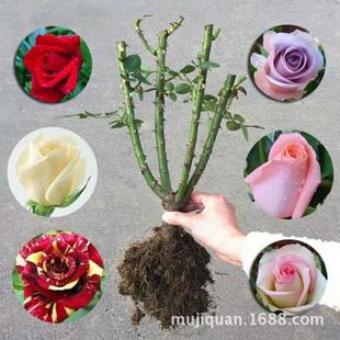 3����õ�����   ����r�л�3������  �^�p��õ��3����