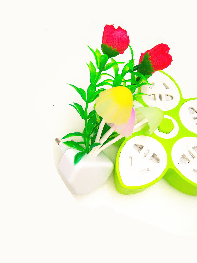 157珍珠苞玫瑰 首页图