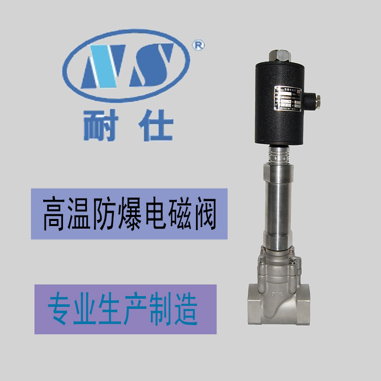 重庆耐仕专业生产直销304不锈钢高温电磁阀，防爆型，螺纹
