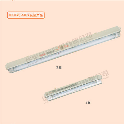 防爆防腐全塑荧光灯T8节能型 不锈钢节能HID灯 加工