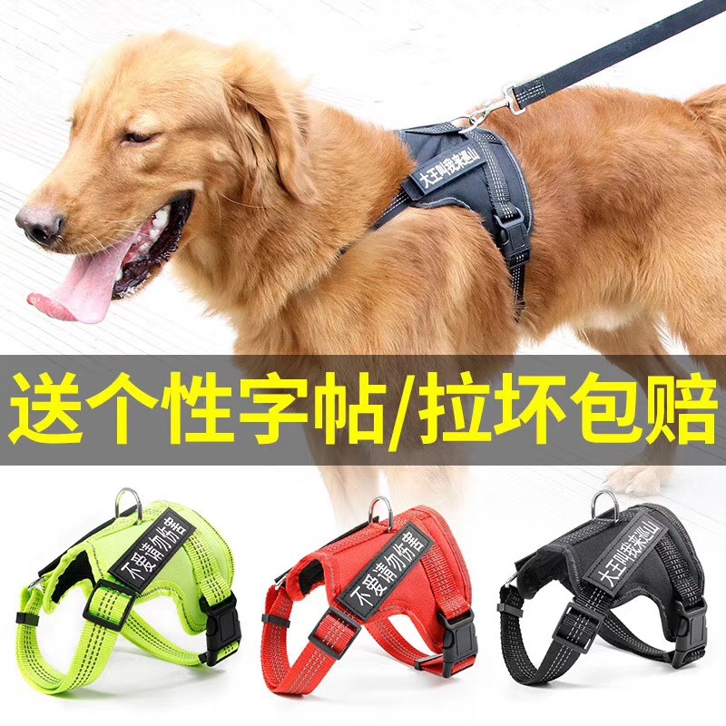 狗狗胸背带小狗牵引绳外出遛狗柯基泰迪金毛中大型犬防爆冲狗链子