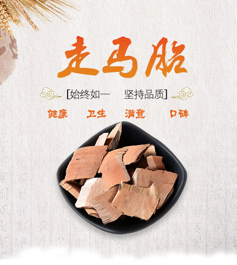 Zou Ma Tai (Ardisia gigantifolia) — Sulfur-Free Dried Medicinal Herb, 500g Bulk overview