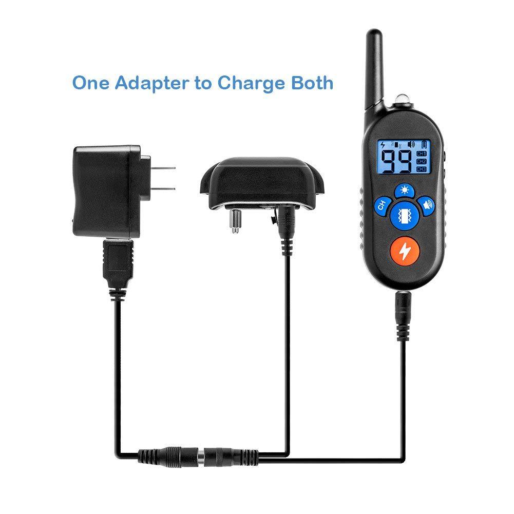 dog training collar (4)