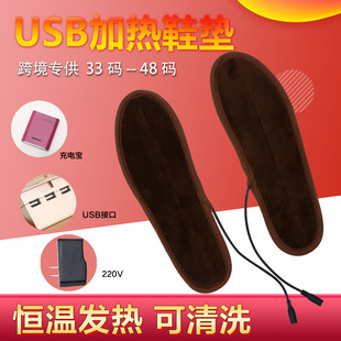 电加热鞋垫