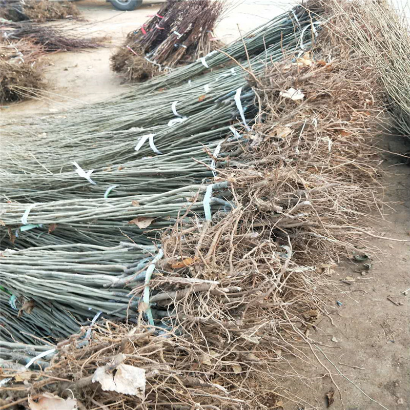 微信图片_20180227140531.jpg