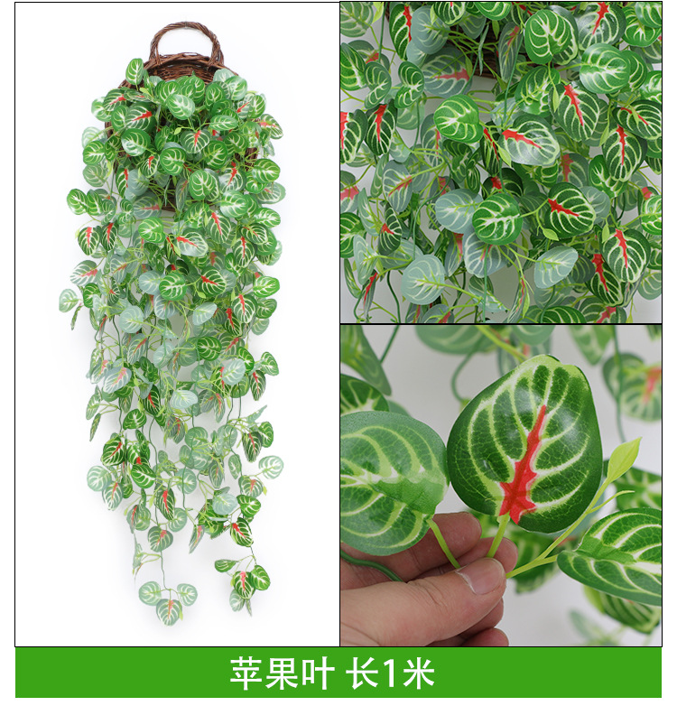 TB2hE7Ig8jTBKNjSZFuXXb0HFXa_!!