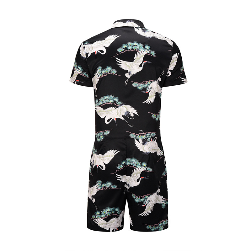 DXLT812009#详情 (5).JPG