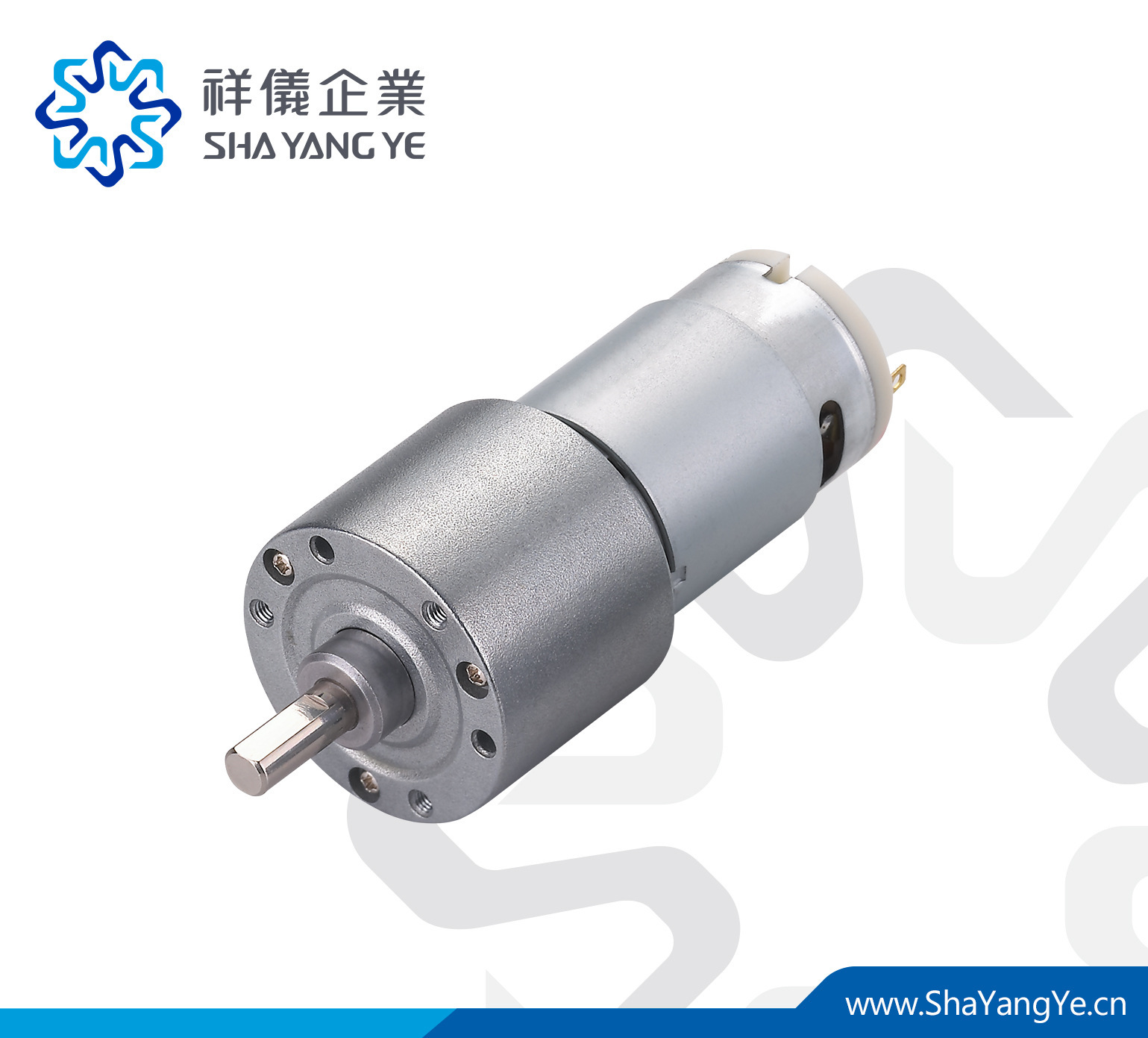 SHAYANGYE祥仪RA37GM13&14TYPE塔轮减速机