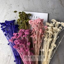 ������diy�������l��ɫ��ɫ�\����������ˇ���µ���� Ԋ��С���