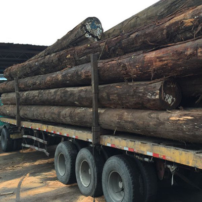 Strength Manufactor Wholesale 4 flood prevention Piling Piling Protection embankment woodiness Material Science wholesale