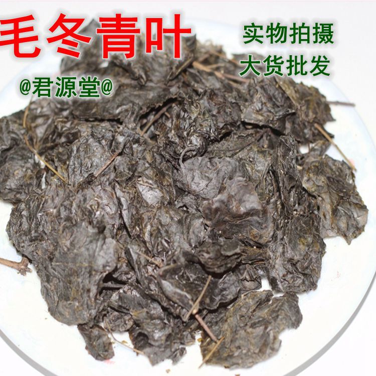 毛冬青叶江湖地摊毛冬青叶 大叶苦丁茶散装