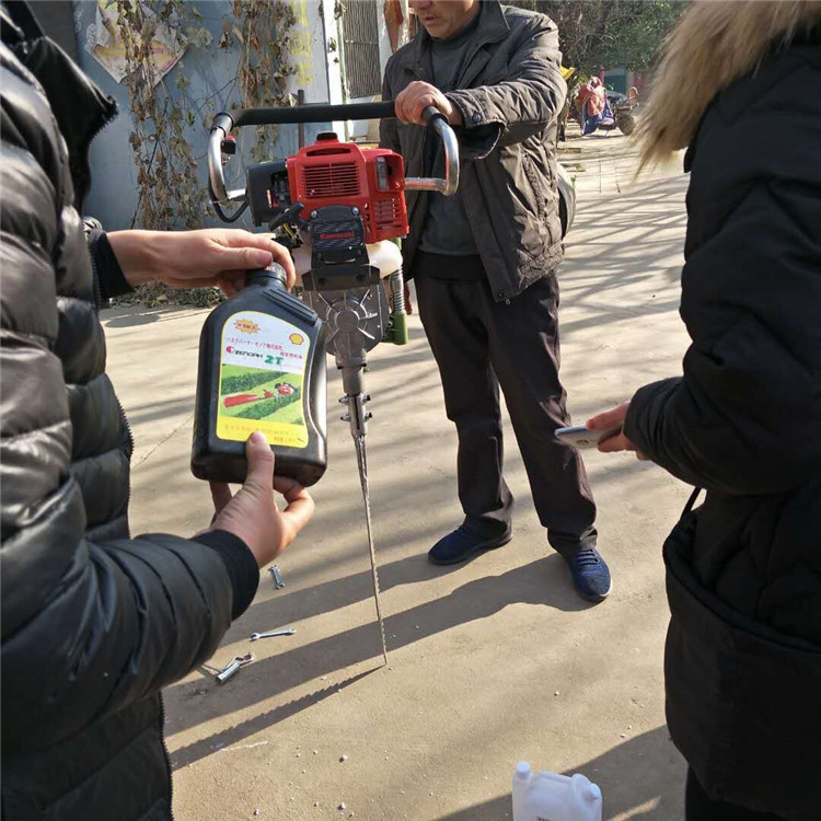 带土球移苗机链条式移树机 园林苗木起树机 大马力铲式挖树机