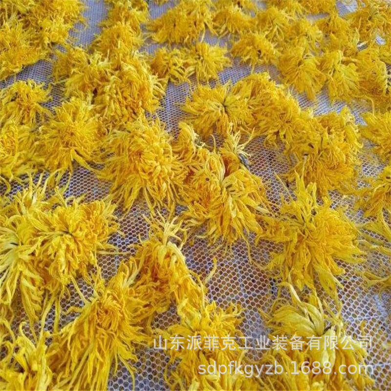 金丝黄菊高温热泵烘干机 菊花空气能烘干机价格 胎菊热泵干燥机