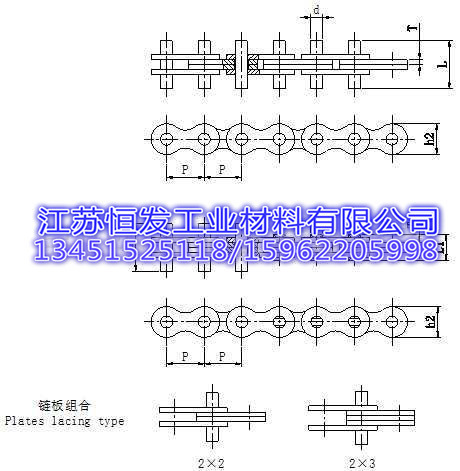 链板组合 链条 按照客户需求自行设计和制造