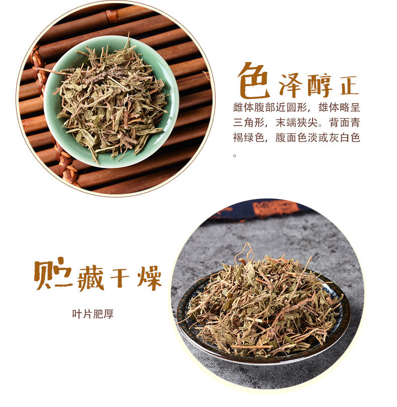 Gua Zi Jin (Polygala japonica) — Dried Whole Herb, Sulfur-Free, 500g Bulk key features