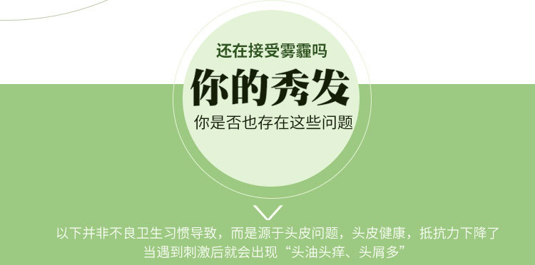 植物叶子详情页1_05