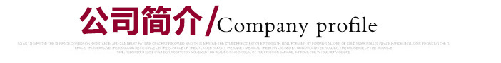公司介绍