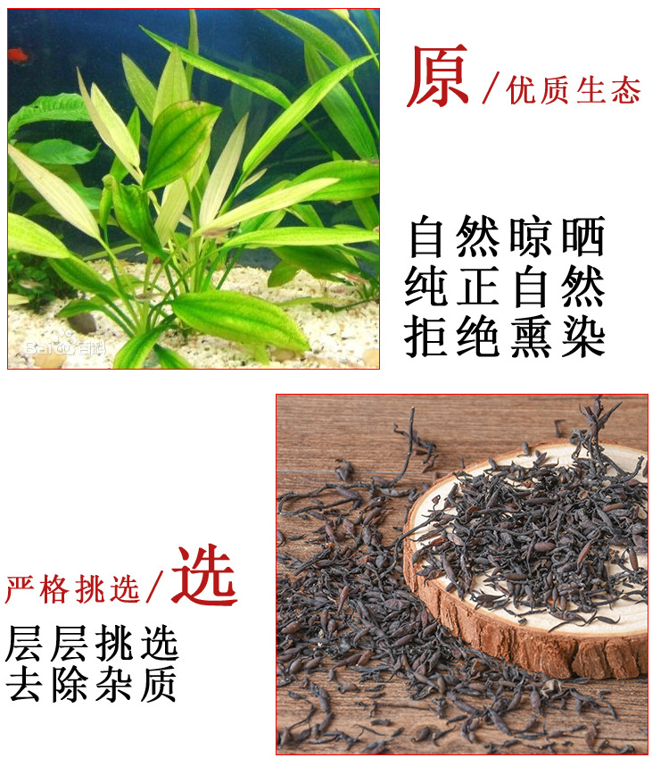 Seaweed (Sargassum) — Dried Food-Herb Kelp for Soup & Tea, 500g key features