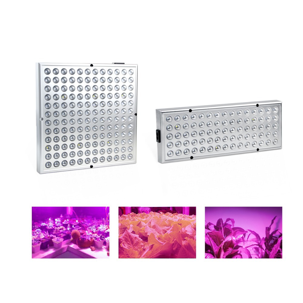 Amazon 25W 45W LED Botany Grow lights Spectrum indoor fill-in light led greenhouse Grow lights Manufactor