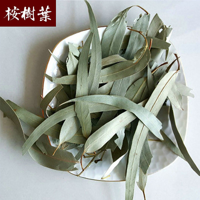 滕王广西桉树叶 新货桉叶 小蜜垫料散装中草药桉树叶粉