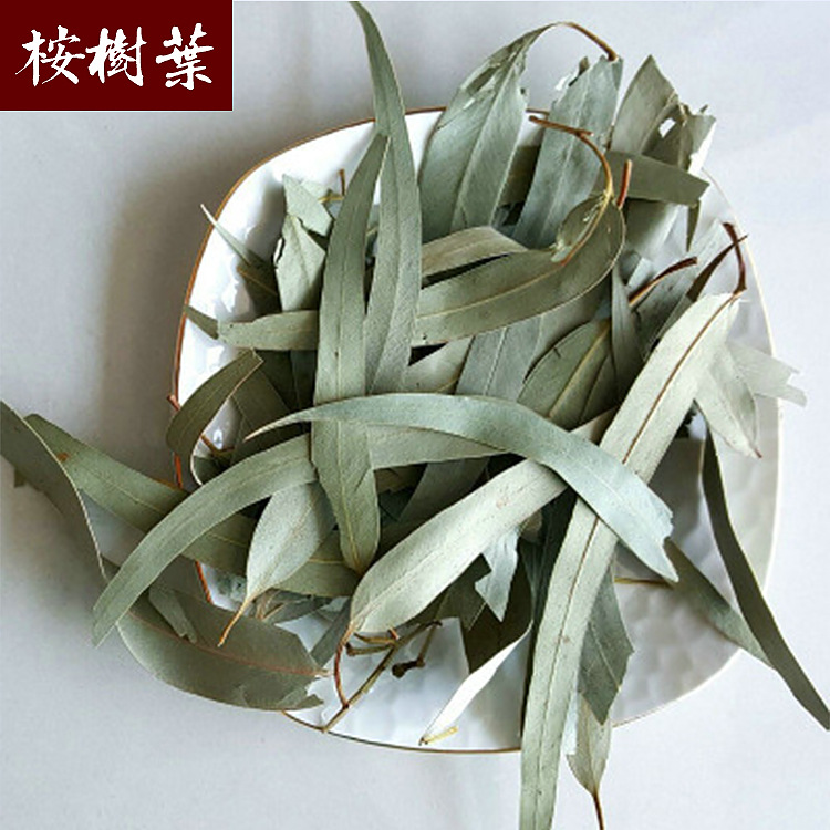 滕王广西桉树叶 新货桉叶 小蜜垫料散装中草药桉树叶粉